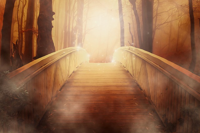 most v lese